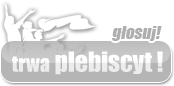 Plebiscyt