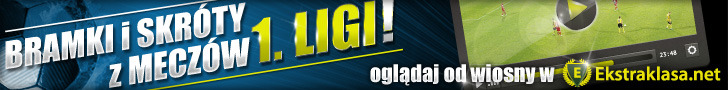Wideo 1. liga