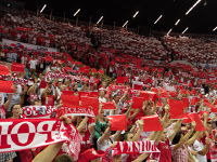 Najlepszymi są tylko polscy kibice! Zdjęcia z meczu Polska - Niemcy