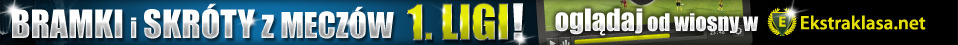 Wideo 1. liga
