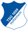 Herb klubu TSG 1899 Hoffenheim