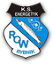 Herb klubu Energetyk ROW Rybnik